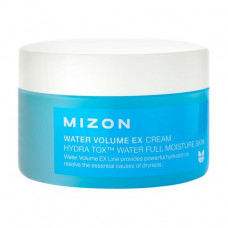 The moisturizing cream for the person Mizon Water Volume EX Cream, 230 ml