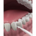 Toothpick with tooth DenTek thread Complex clarification, 75 pieces