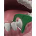 Toothpick with tooth DenTek thread the Refreshing clarification, 75 pieces