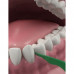Toothpick with tooth DenTek thread the Refreshing clarification, 75 pieces