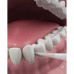 Toothpick with tooth DenTek thread Threefold clarification, 20 pieces